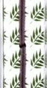 Aanbiedingen π Hama Insteekalbum Fern - Fotoalbum - 28 Pagina's π 11 Aanbiedingen π Hama Insteekalbum Fern - Fotoalbum - 28 Pagina's π -A-journal shop 158x840