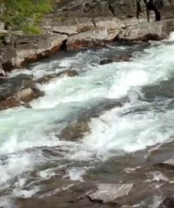 Goedkoop 🛒 Fjallraven Fjällräven Kånken No. 2 Laptop 15" Unisex Rugzak - Dark Olive 🔥 11 Goedkoop 🛒 Fjallraven Fjällräven Kånken No. 2 Laptop 15" Unisex Rugzak - Dark Olive 🔥 -A-journal shop 550x309 24