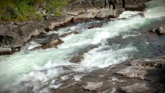 Goedkoop 🛒 Fjallraven Fjällräven Kånken No. 2 Laptop 15" Unisex Rugzak - Dark Olive 🔥 4 Goedkoop 🛒 Fjallraven Fjällräven Kånken No. 2 Laptop 15" Unisex Rugzak - Dark Olive 🔥 - Afbeelding 2