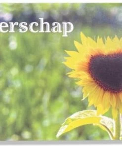 Aanbiedingen 😀 Cards & Crafts 20 Luxe Wenskaarten Beterschap Sterkte - 17x12cm - Gevouwen Kaarten Met Enveloppen 🛒 -A-journal shop 550x362 1