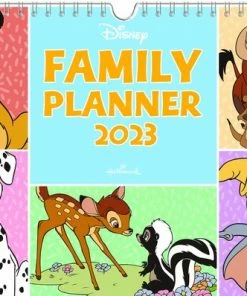Goedkoopste 😀 Disney Familieplanner 2023 (30cm X 22cm) 👍