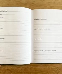 Nieuw 🤩 Cynthia Schultz Structuurjunkie Beslisdagboek - A5 🔔 -A-journal shop 550x412 28