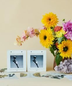 Beste Pirce 🎁 Moonsisters Moon Calendar 2023 - Engelstalig 🛒 -A-journal shop 550x477 2