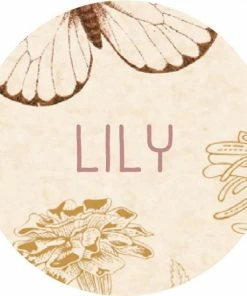 Beste Verkoop 🛒 Pimpelmees Family Diary 2023 - Lily FSC 🛒 -A-journal shop 550x550 124