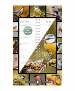 Beste recensies van ❤️ Uitgeverij De Hobbit BV Hobbit Omslagkalender Vogels 2023 🎉