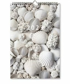 Gloednieuw ๐ Castelli Kalender H53 2023 - 1 Week A5 Kolom - Weekkalender Wire-o - Dessin - 1 Week Per Pagina - Liggend - 13.5 X 20.5 Cm - Grijs โค๏ธ