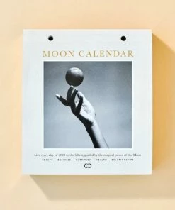 Beste Pirce 🎁 Moonsisters Moon Calendar 2023 - Engelstalig 🛒