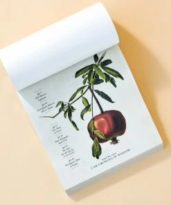 Beste Pirce 🎁 Moonsisters Moon Calendar 2023 - Engelstalig 🛒 -A-journal shop 550x550 570