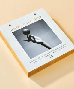 Beste Pirce 🎁 Moonsisters Moon Calendar 2023 - Engelstalig 🛒 -A-journal shop 550x550 571