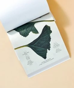 Beste Pirce 🎁 Moonsisters Moon Calendar 2023 - Engelstalig 🛒 -A-journal shop 550x550 573