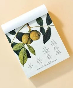 Beste Pirce 🎁 Moonsisters Moon Calendar 2023 - Engelstalig 🛒 -A-journal shop 550x550 577