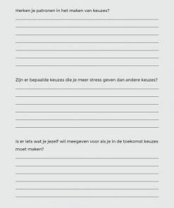 Nieuw 🤩 Cynthia Schultz Structuurjunkie Beslisdagboek - A5 🔔 -A-journal shop 550x676