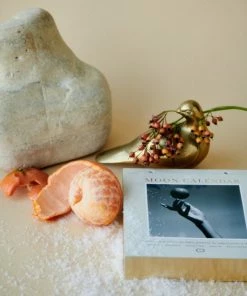 Beste Pirce 🎁 Moonsisters Moon Calendar 2023 - Engelstalig 🛒 -A-journal shop 550x687 2