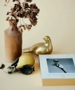 Beste Pirce 🎁 Moonsisters Moon Calendar 2023 - Engelstalig 🛒 -A-journal shop 550x687 3