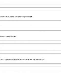 Nieuw 🤩 Cynthia Schultz Structuurjunkie Beslisdagboek - A5 🔔 -A-journal shop 550x727 7