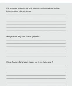 Nieuw 🤩 Cynthia Schultz Structuurjunkie Beslisdagboek - A5 🔔 -A-journal shop 550x741 1