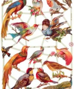 Uitgang π Meer Leuks Poëzieplaatjes 7 Vellen - Vlinders, Vogels En Bloemen - Voor Poëziealbums, Bulletjournals, Scrapbooking En Het Maken Van Kaarten β 17 Uitgang π Meer Leuks Poëzieplaatjes 7 Vellen - Vlinders, Vogels En Bloemen - Voor Poëziealbums, Bulletjournals, Scrapbooking En Het Maken Van Kaarten β -A-journal shop 550x767 8