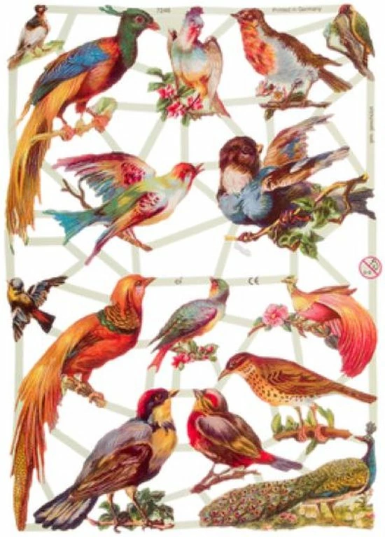 Uitgang π Meer Leuks Poëzieplaatjes 7 Vellen - Vlinders, Vogels En Bloemen - Voor Poëziealbums, Bulletjournals, Scrapbooking En Het Maken Van Kaarten β 10 Uitgang π Meer Leuks Poëzieplaatjes 7 Vellen - Vlinders, Vogels En Bloemen - Voor Poëziealbums, Bulletjournals, Scrapbooking En Het Maken Van Kaarten β - Afbeelding 8