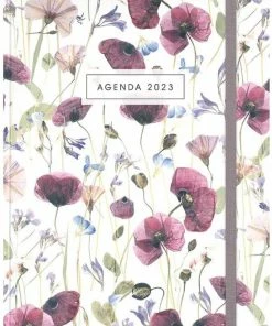 Korting 🎉 De Hobbit Hobbit - Agenda Week Extra -klaprozen - 2023 - Hardcover - Week Per Pagina - 17.5x12.5cm 🎉