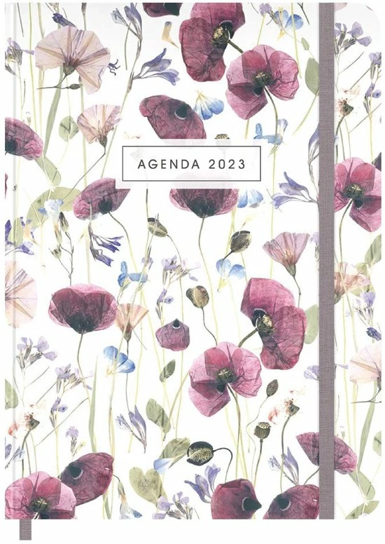 Korting π De Hobbit Hobbit - Agenda Week Extra -klaprozen - 2023 - Hardcover - Week Per Pagina - 17.5x12.5cm π 3 Korting π De Hobbit Hobbit - Agenda Week Extra -klaprozen - 2023 - Hardcover - Week Per Pagina - 17.5x12.5cm π