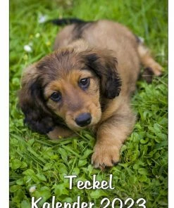 Coupon 👏 Get Digital Teckel Maandkalender 2023 🔥