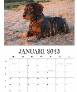 Coupon 👏 Get Digital Teckel Maandkalender 2023 🔥 -A-journal shop 550x777 12