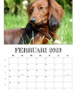 Coupon 👏 Get Digital Teckel Maandkalender 2023 🔥 -A-journal shop 550x777 13