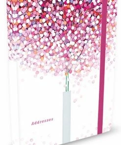 Begroting 💯 Comello Lollipop Adresboekje 😍